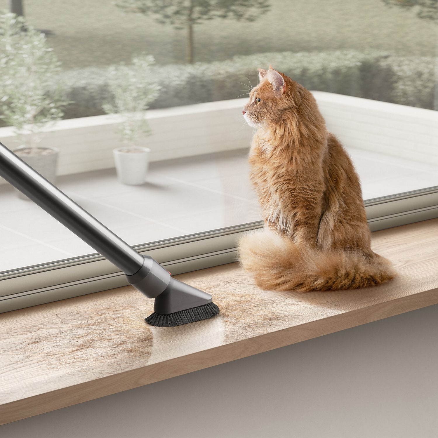 Nettoyage par aspiration des poils d'animaux. 