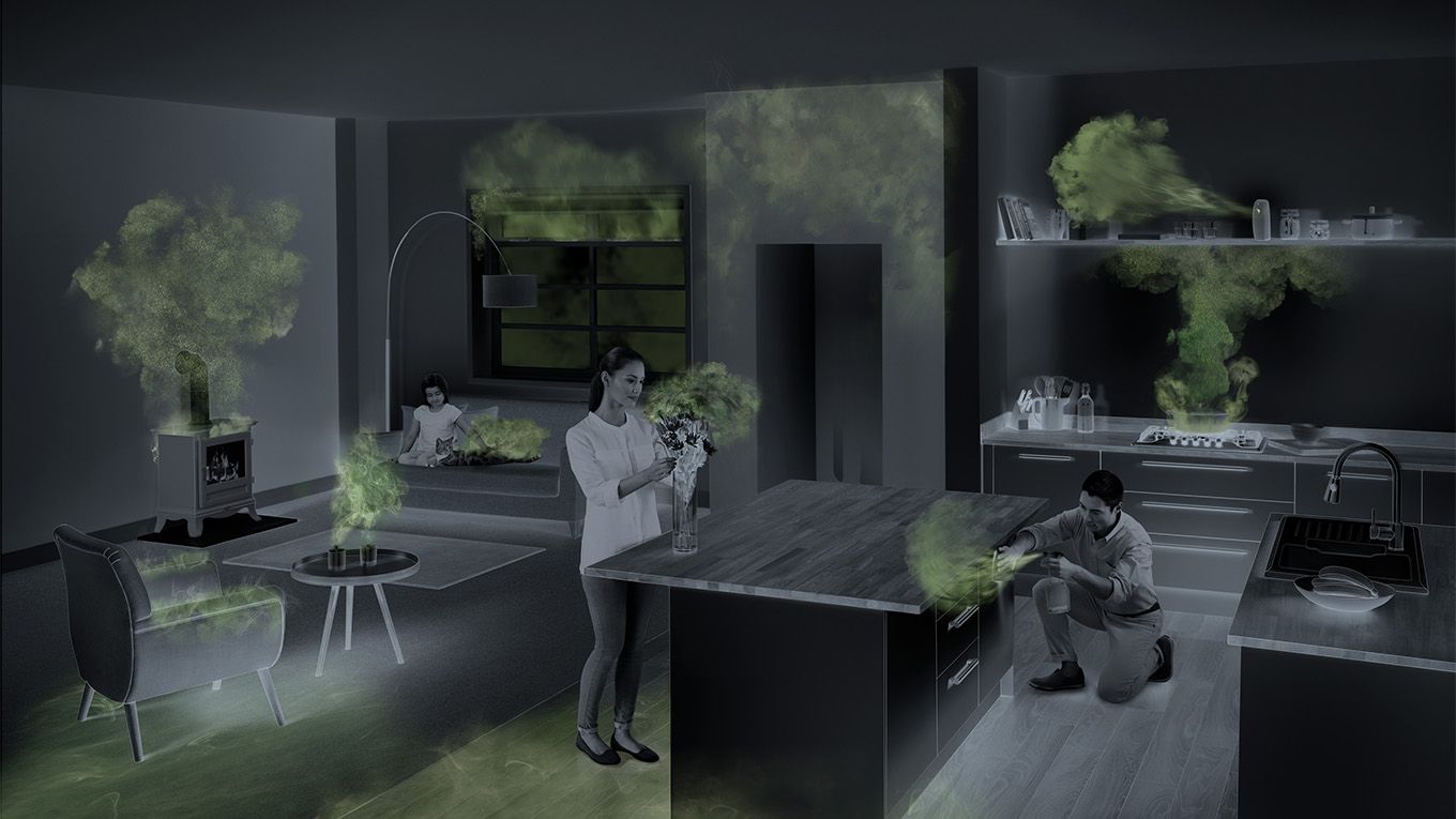 Air quality in the home