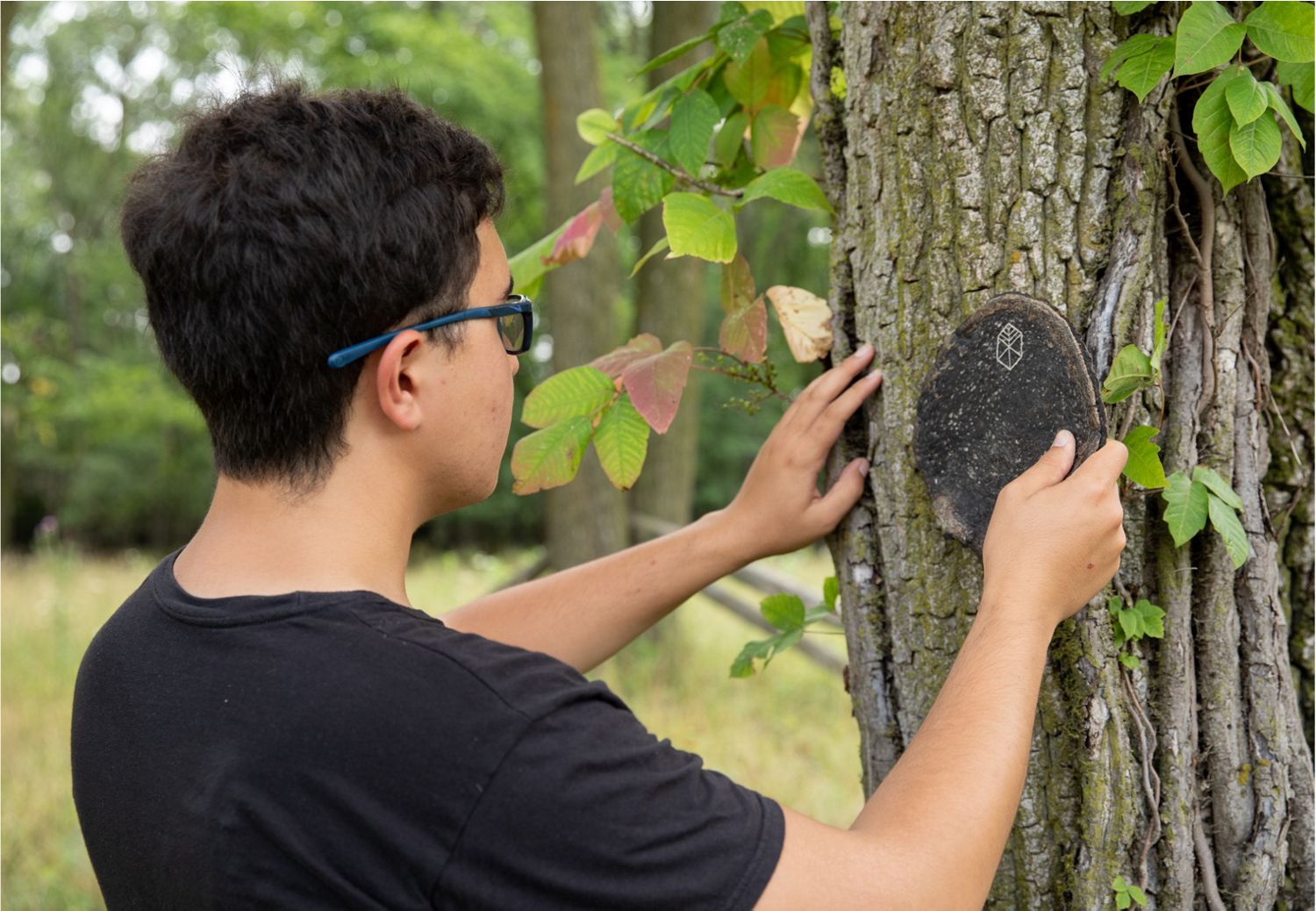 Pyrus - James Dyson Award Winner