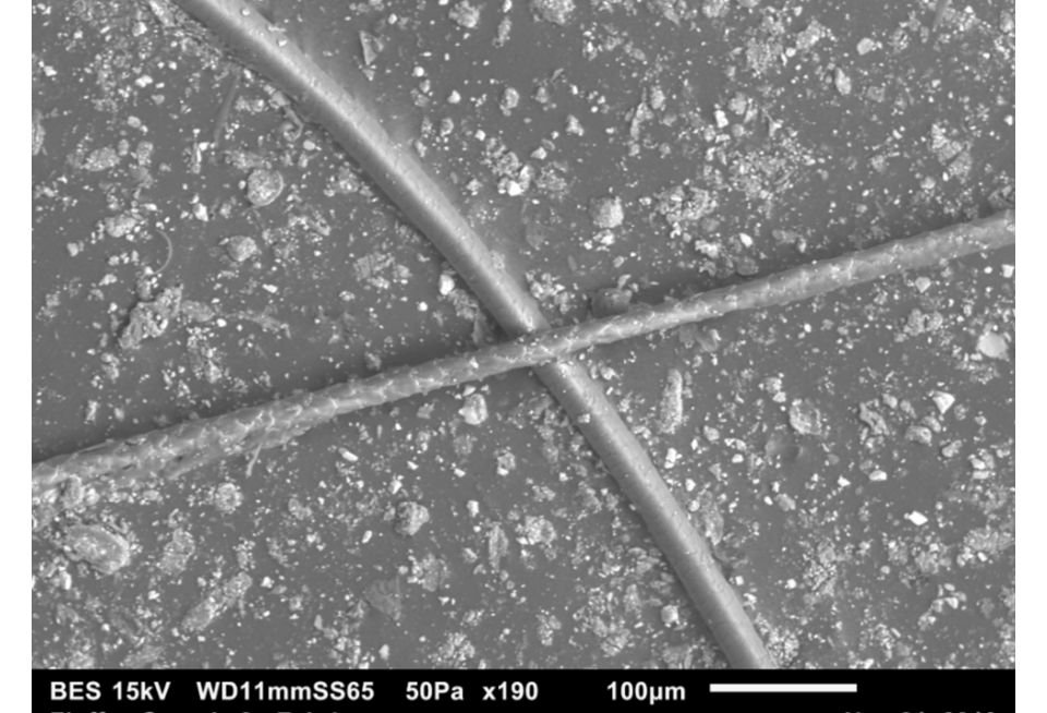 A close-up image of animal and human hair.