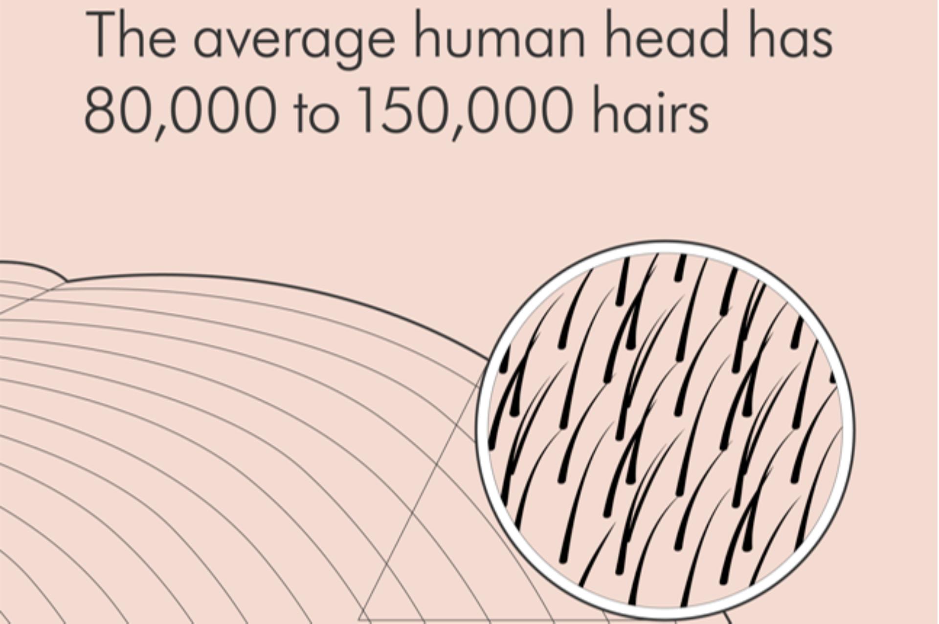 Dyson's global hair study 2022 