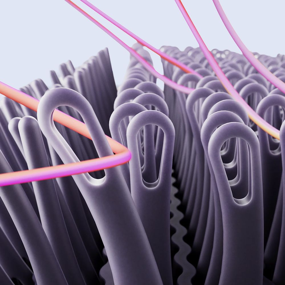 Cutaway showing the technology within the Dyson Supersonic Travel hair dryer.