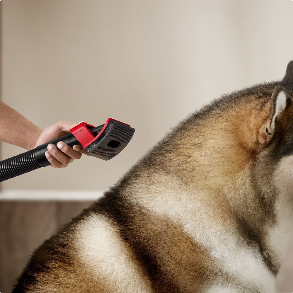 The Pet groom tool is used on a dog to remove shed fur.