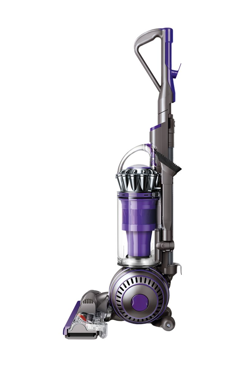 Dyson Ball Animal 2