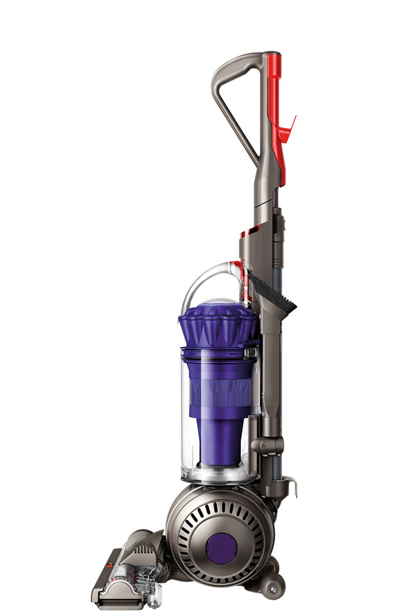 Dyson Ball Animal Exclusive