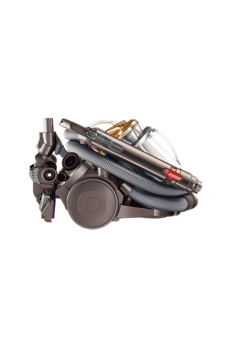 Aspirateur Dyson DC20 Tous planchers