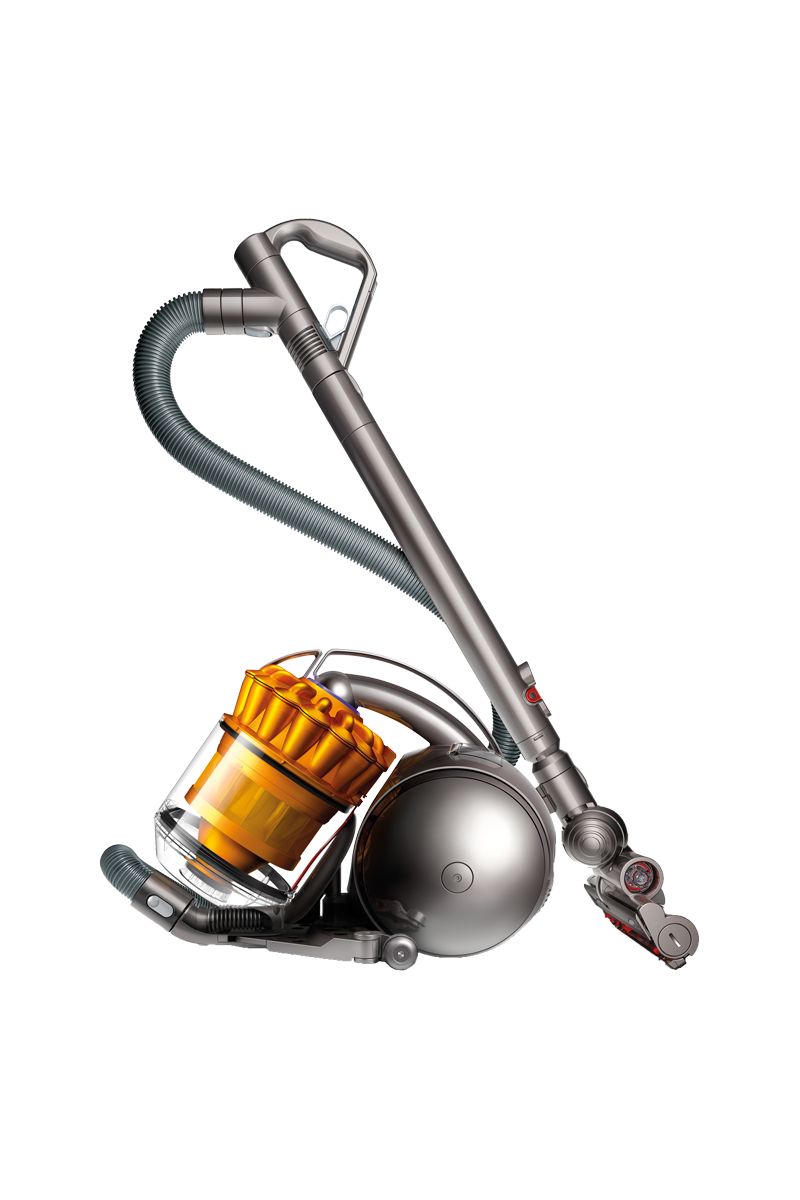 Aspirateur Dyson DC37 Animal