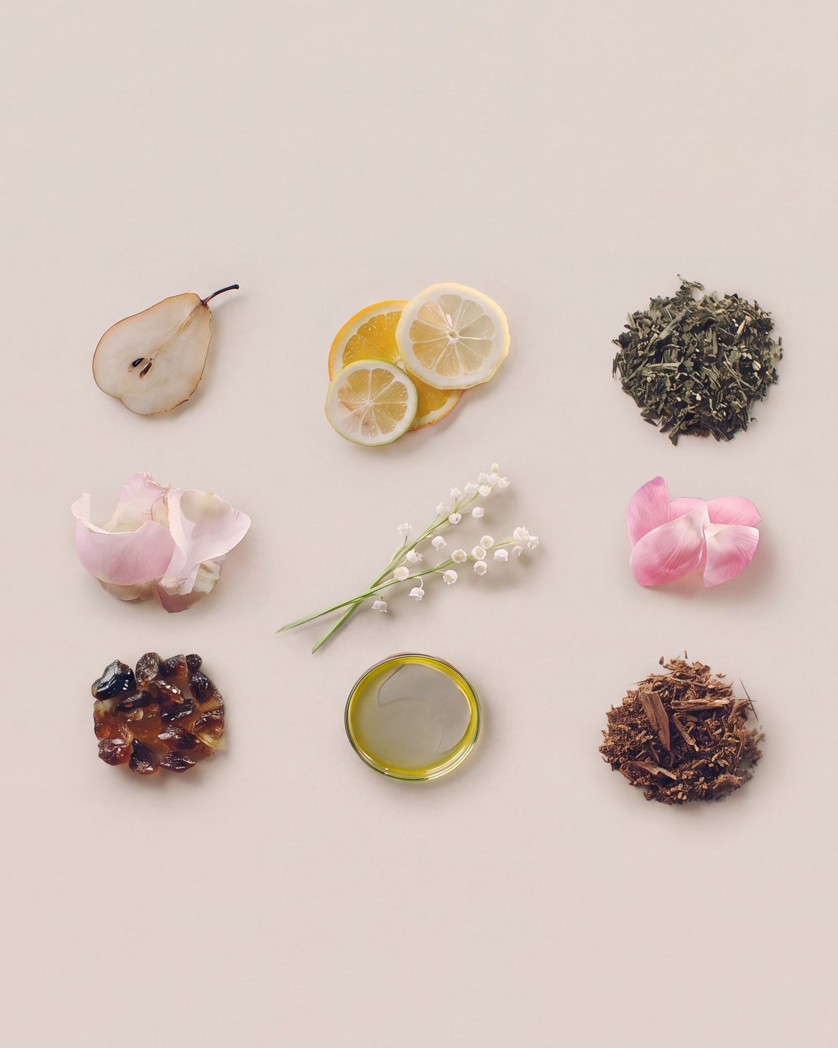 A collection of fruits, botanicals, spices and oils that give Dyson Amino leave-in scalp bubble treatment its scent.