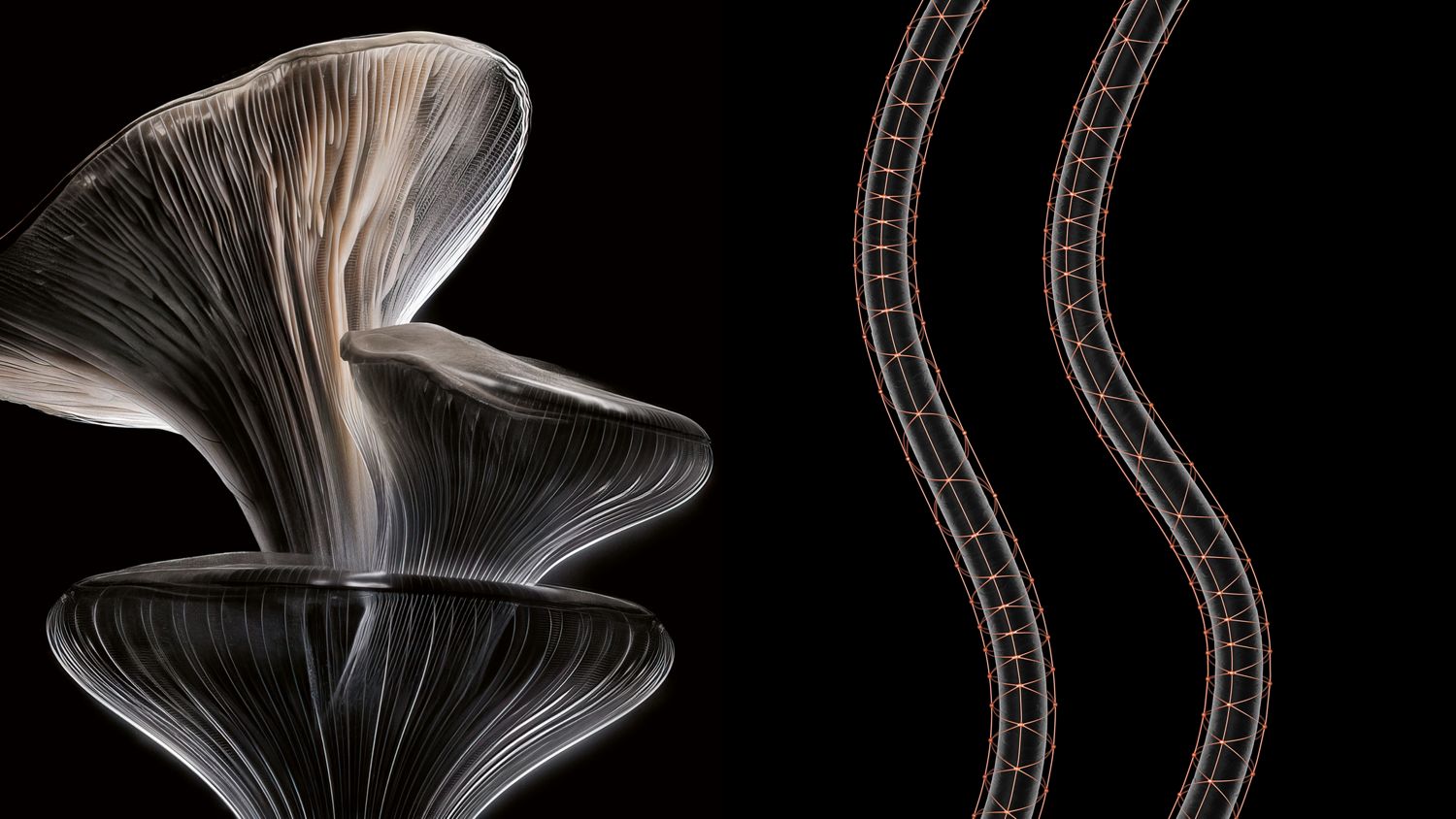 Cloud-like fungi on a dark background and microscopic close-up of hair strands surrounded by delicate golden structures.