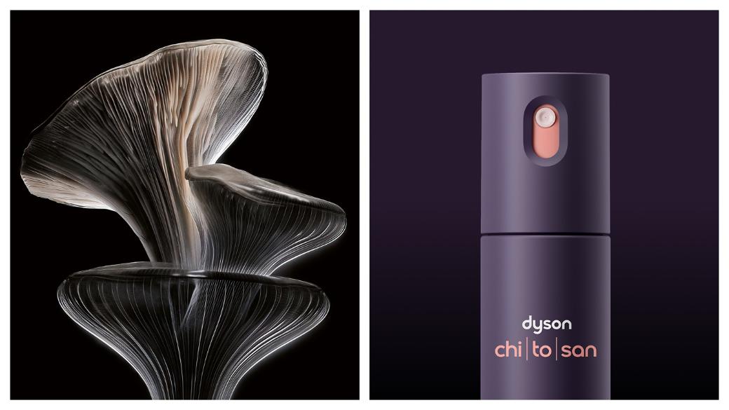 Cloud-like fungi on a dark background and the Dyson Chitosan Multi-use styling spray travel mini.