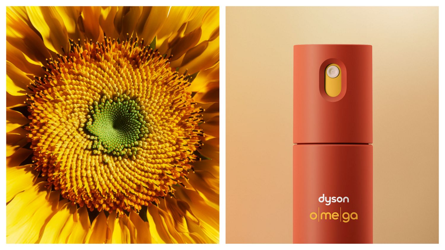 The Dyson Omega leave-in conditioning spray next to a sunflower head.