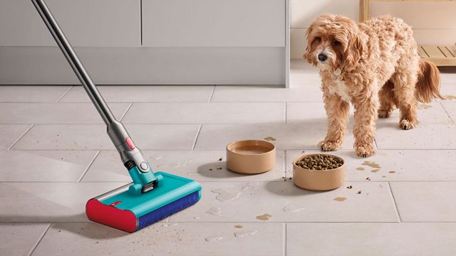 Dyson 02 Probiotic床用クリーナー | 水拭き掃除機 | ダイソン公式