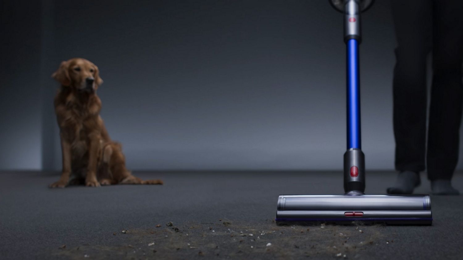 Gen5 Outsize cleanning carpet and hardwood