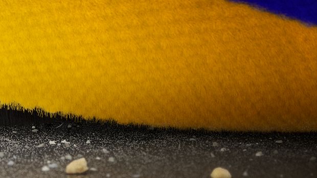 Close-up of the Dyson Fluffy Optic cleaner head’s brush bar as it cleans into a crevice on a hard floor.