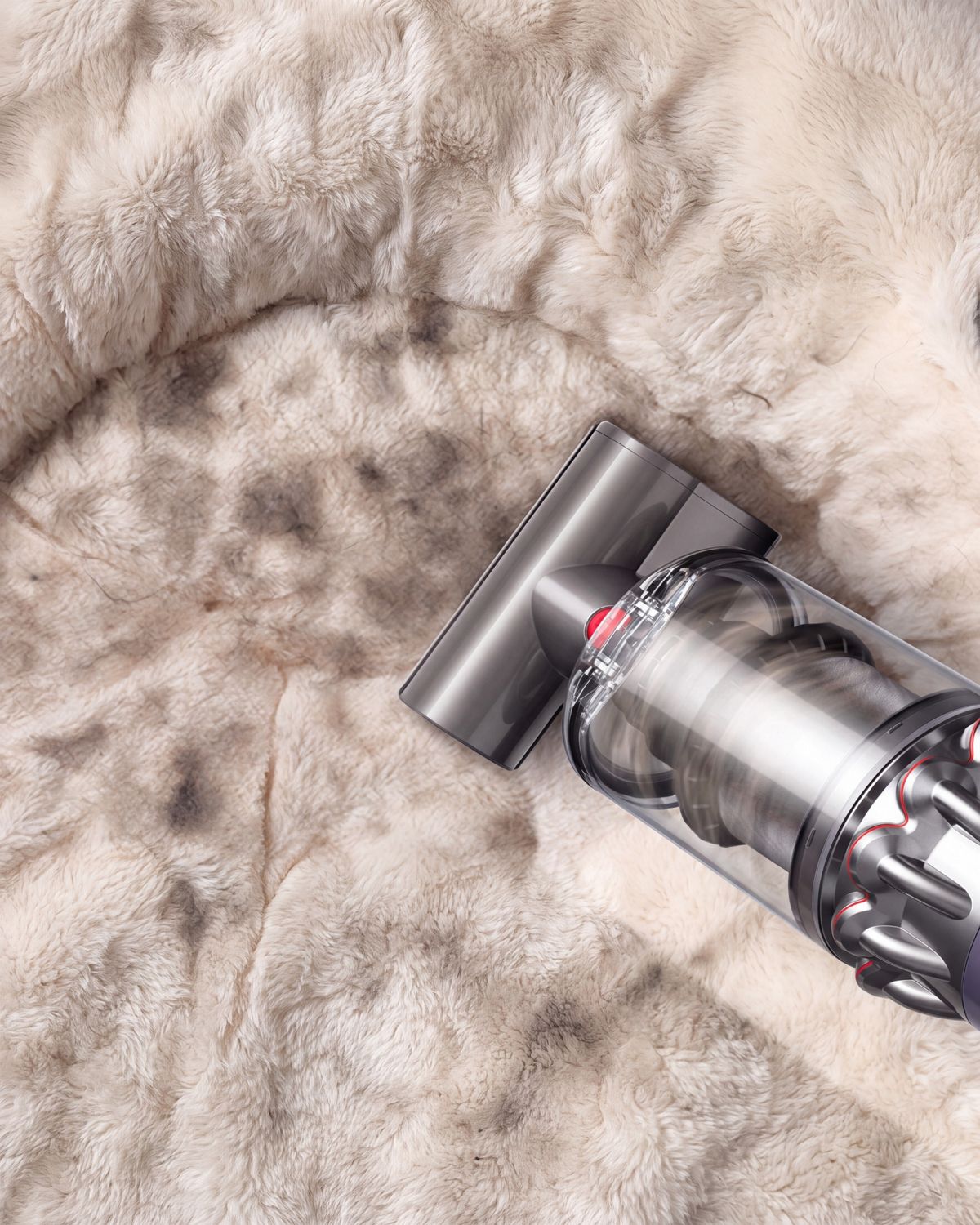 Dyson V12 Detect Slim cordless vacuum used to clean carpets and pet beds.