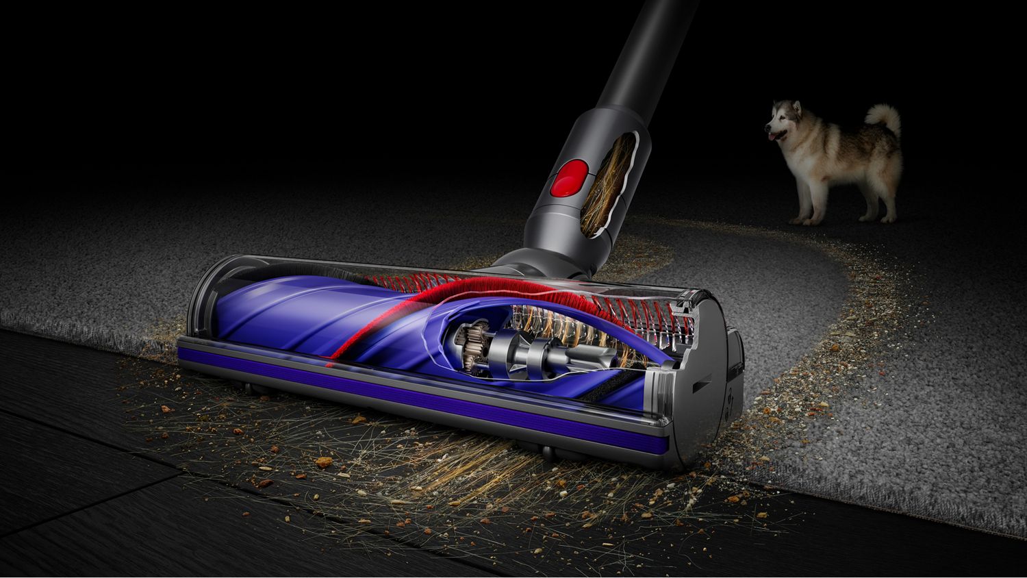 The Dyson V8 vacuum Motorbar is shown cleaning between hard floors and carpet, showcasing de-tangling technology inside and a dog in the background.