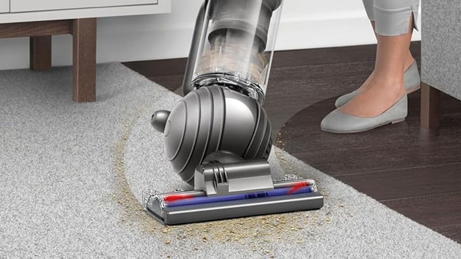 The Ball of the Dyson Ball Animal Origin vacuum cleaner.