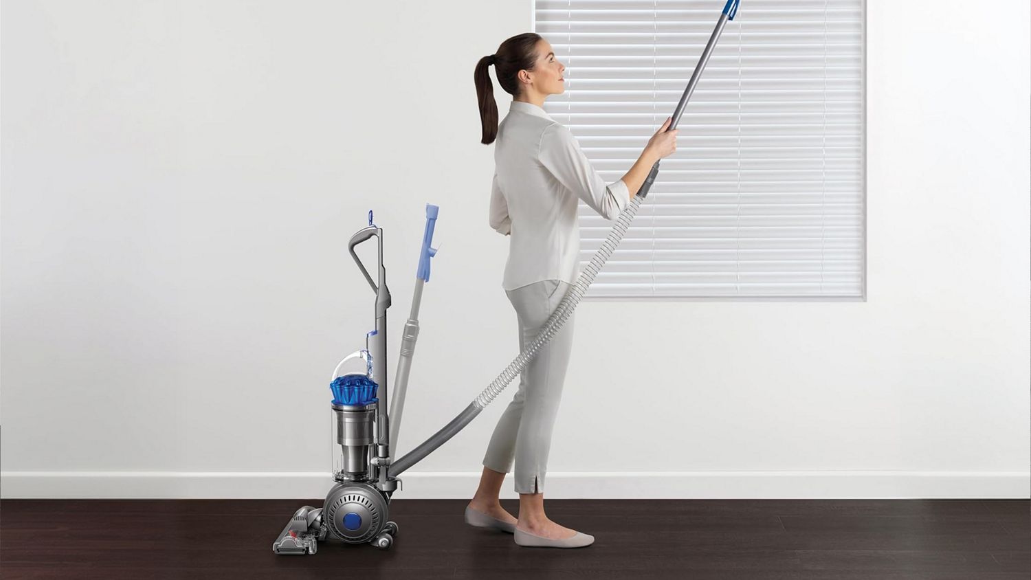 Dyson Ball Animal Origin vacuum cleaner used to clean around the home.