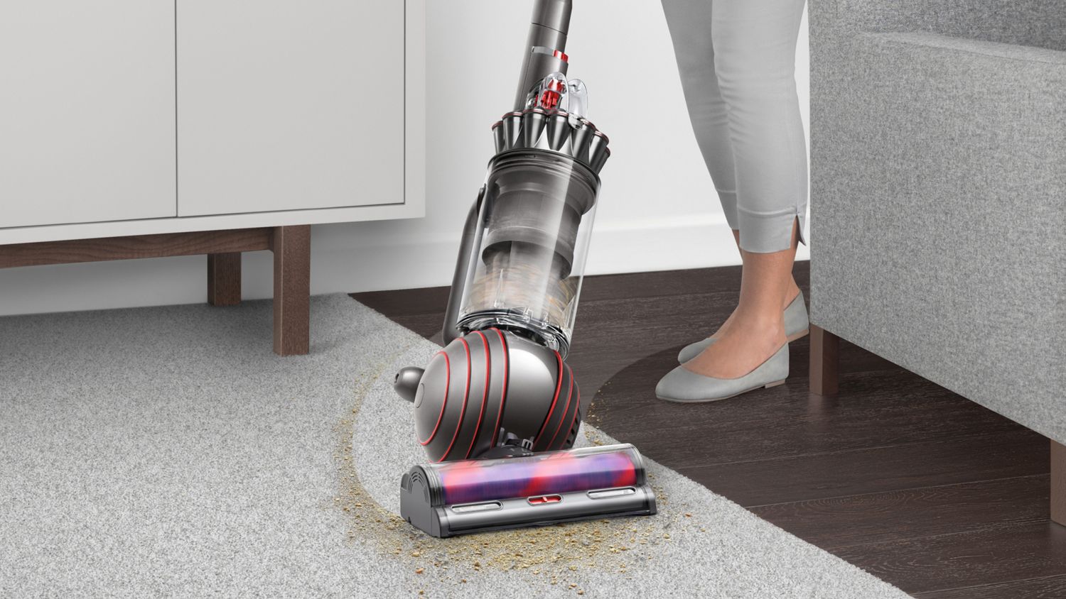 The Ball of the Dyson Ball Animal Origin vacuum cleaner.