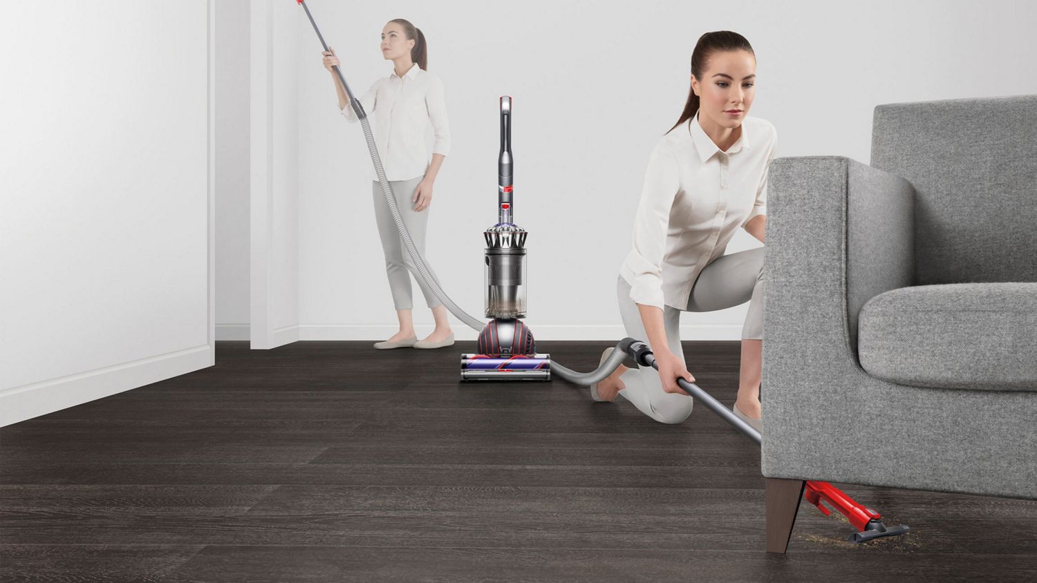 Dyson Ball Animal Origin vacuum cleaner used to clean around the home.