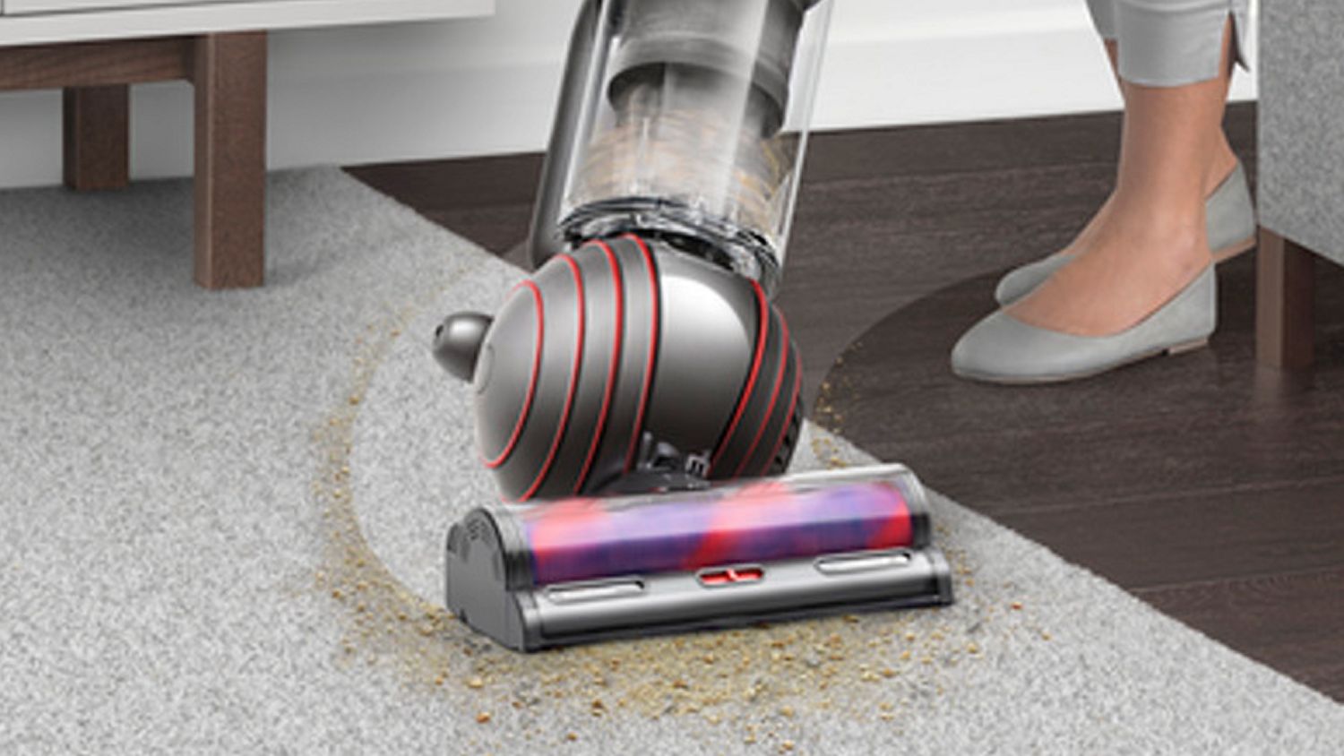 The Ball of the Dyson Ball Animal 3 Extra vacuum cleaner.