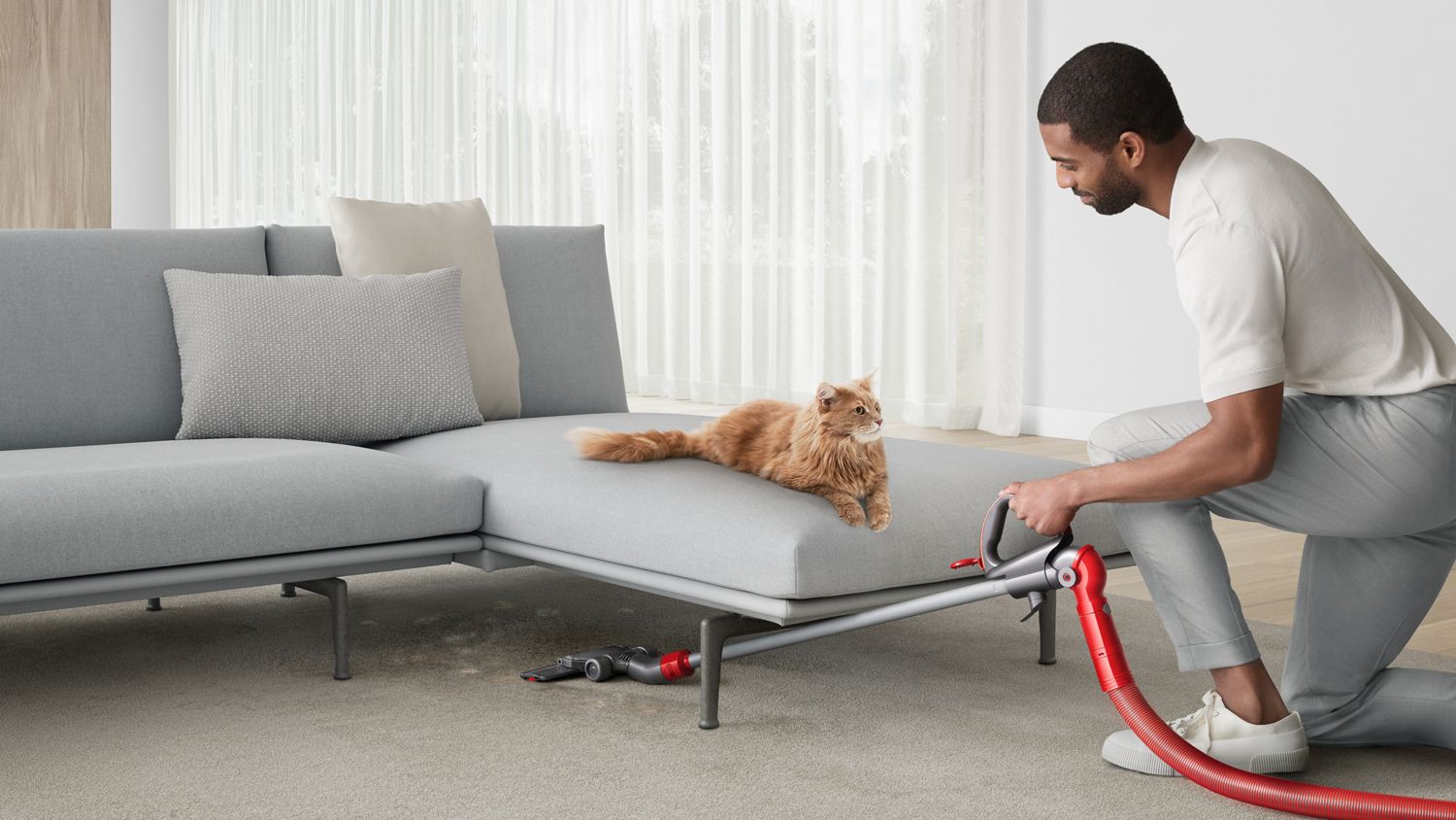 Person using a Dyson vacuum with telescopic handle to clean under a sofa beside a cat.