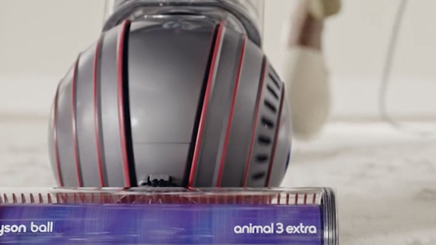 Dyson Ball Animal 3 Extra vacuum cleaner used to clean in a home.