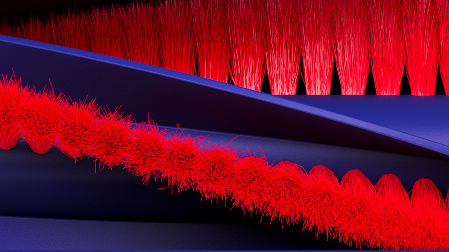 Close-up of the brush bar of the Dyson R1 Nurovi Dry robot vacuum cleaner.