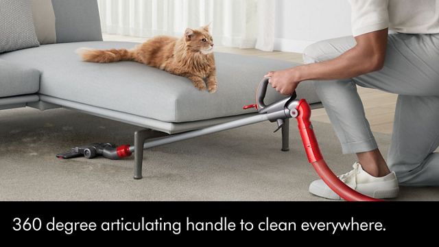 Dyson Ball™ Animal Complete (Gold)