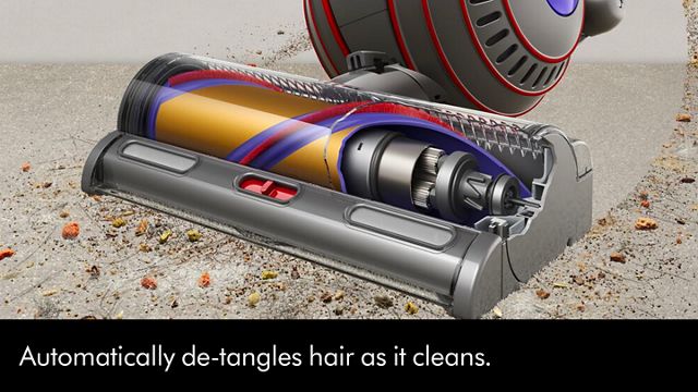 Dyson Ball™ Animal Upright Vacuum Cleaner (Nickel/Silver)