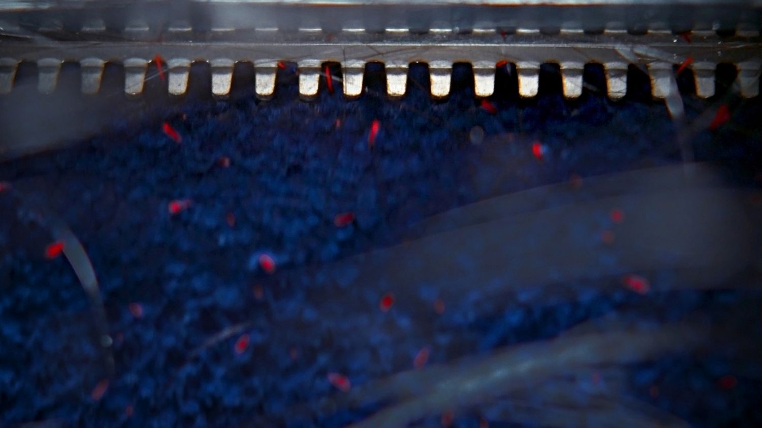 Close-up of the Dyson Clean+Wash Hygiene hard floor cleaner Anti-tangle comb.