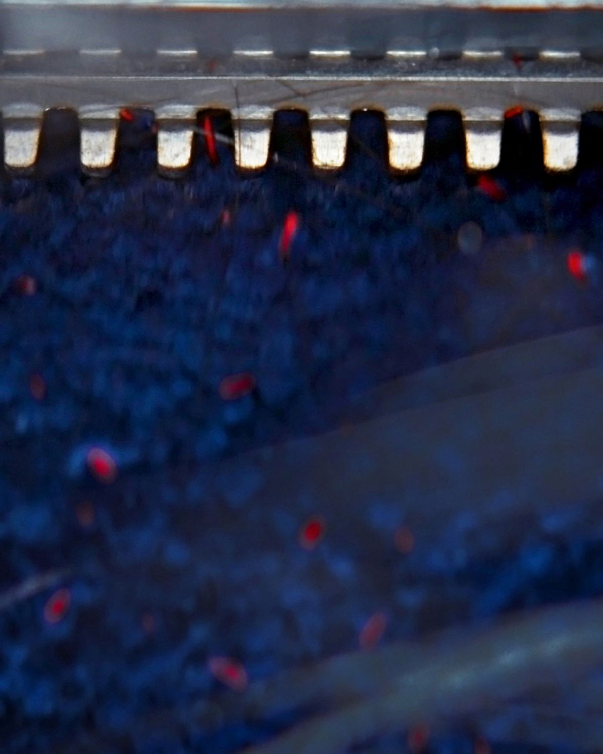 Close-up of the Dyson Clean+Wash Hygiene hard floor cleaner Anti-tangle comb.