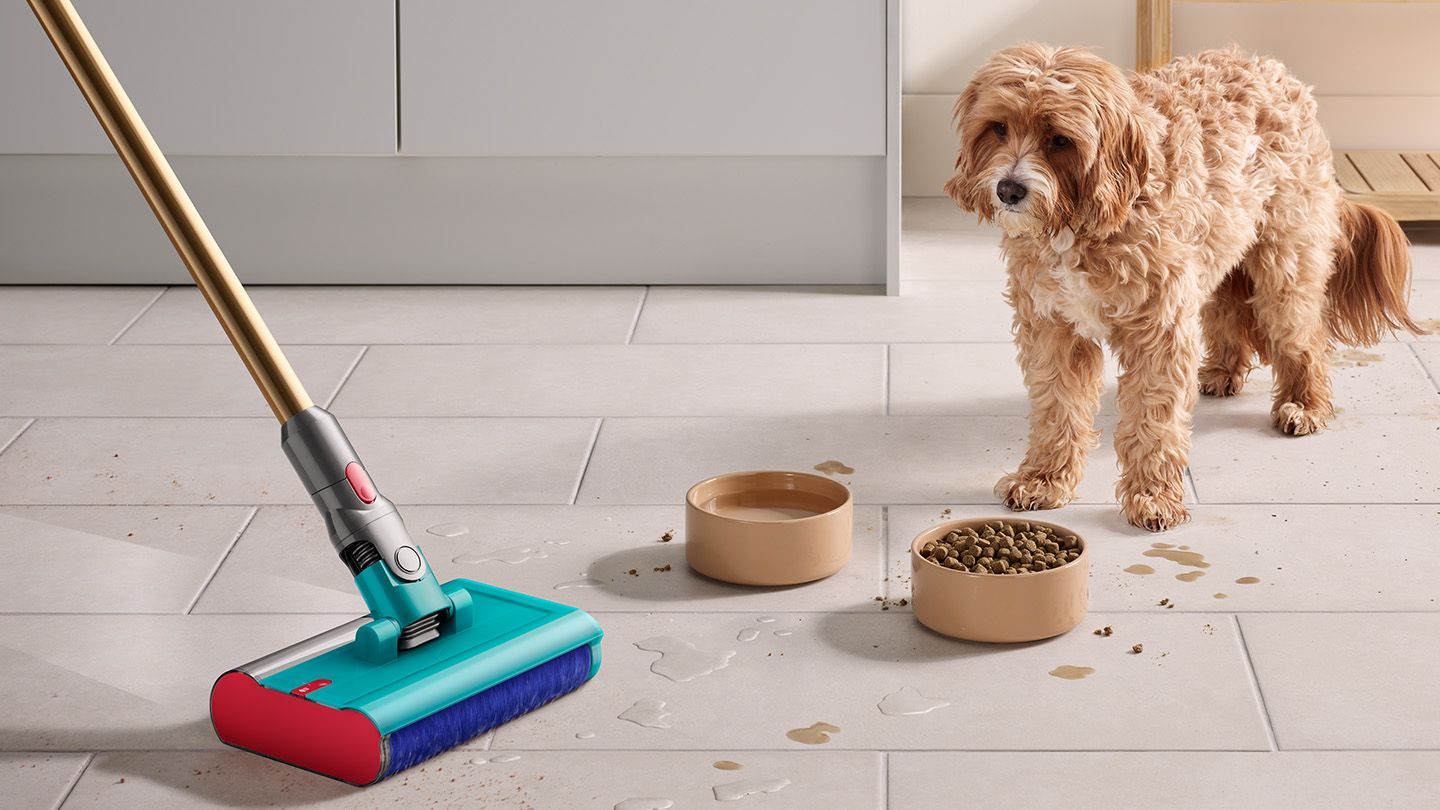 Dog stands behind his food bowls as Submarine wet cleaner head picks up debris.