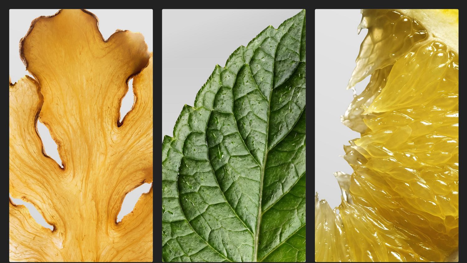 Ginger root, a mint leaf and lemon slice.