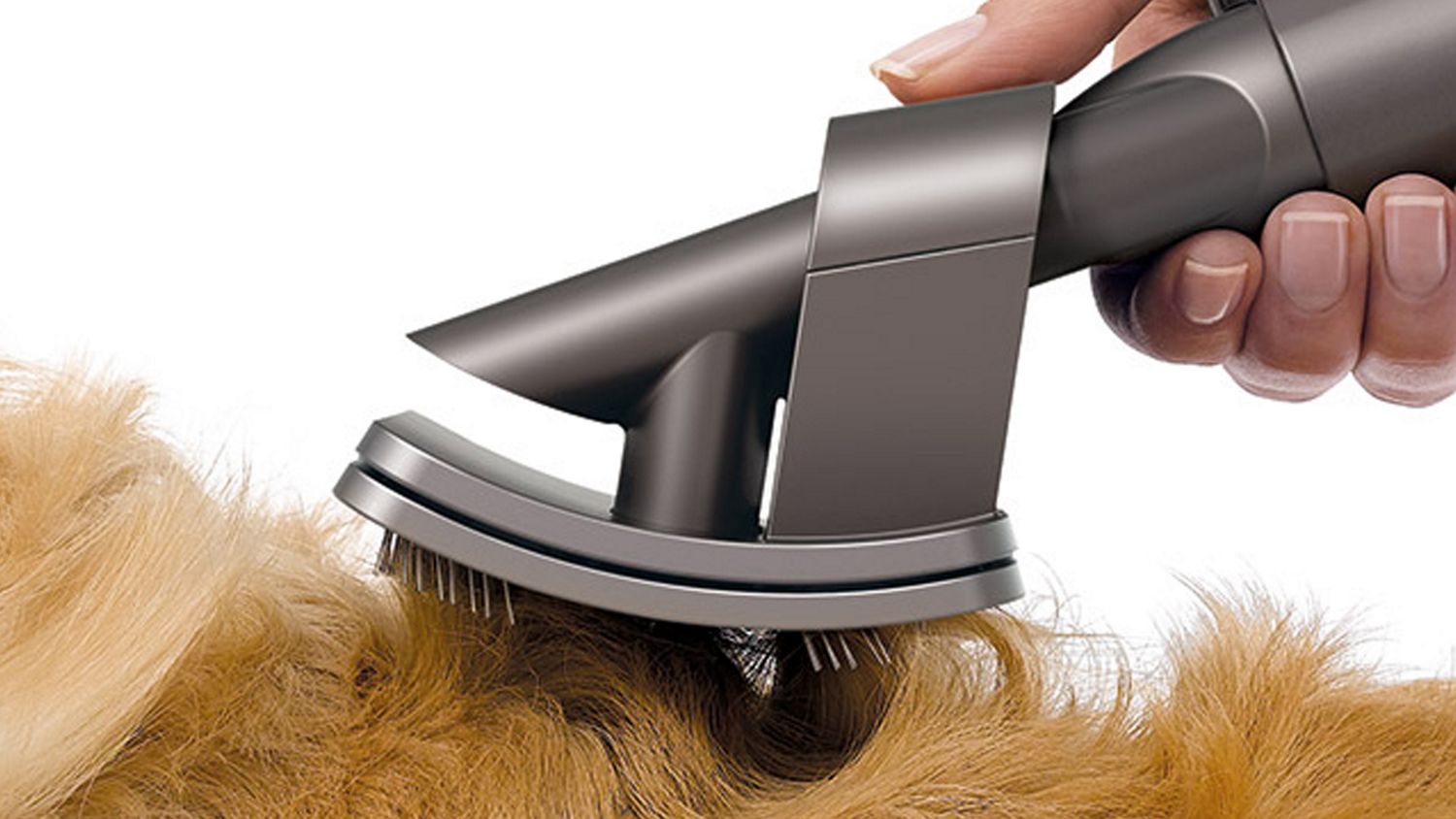 Pet fur being cleaned with pet grooming tool.