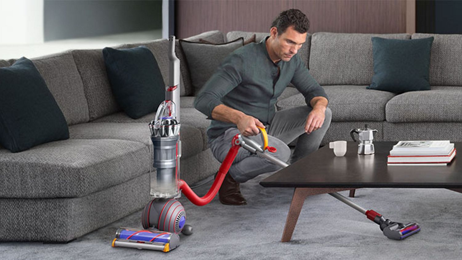 Dyson Ball Animal 2 Upright Vacuum Cleaner Dyson