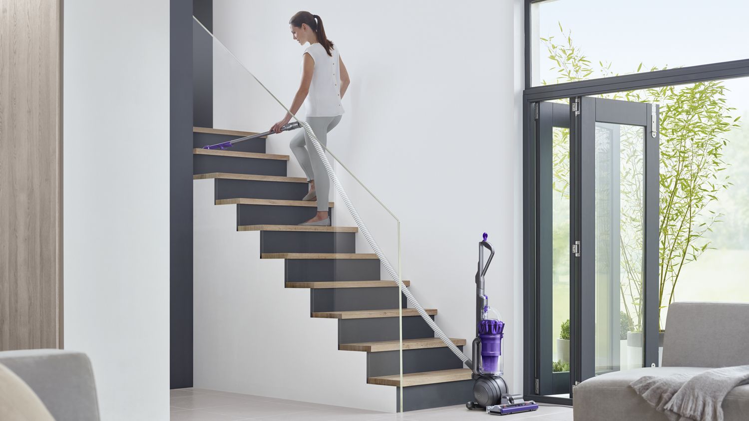 Dyson ball animal shop 2 upright vacuum