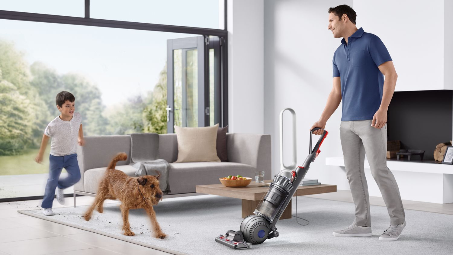 Dyson Ball Animal 2 pet vacuum cleaner (Iron) | Dyson