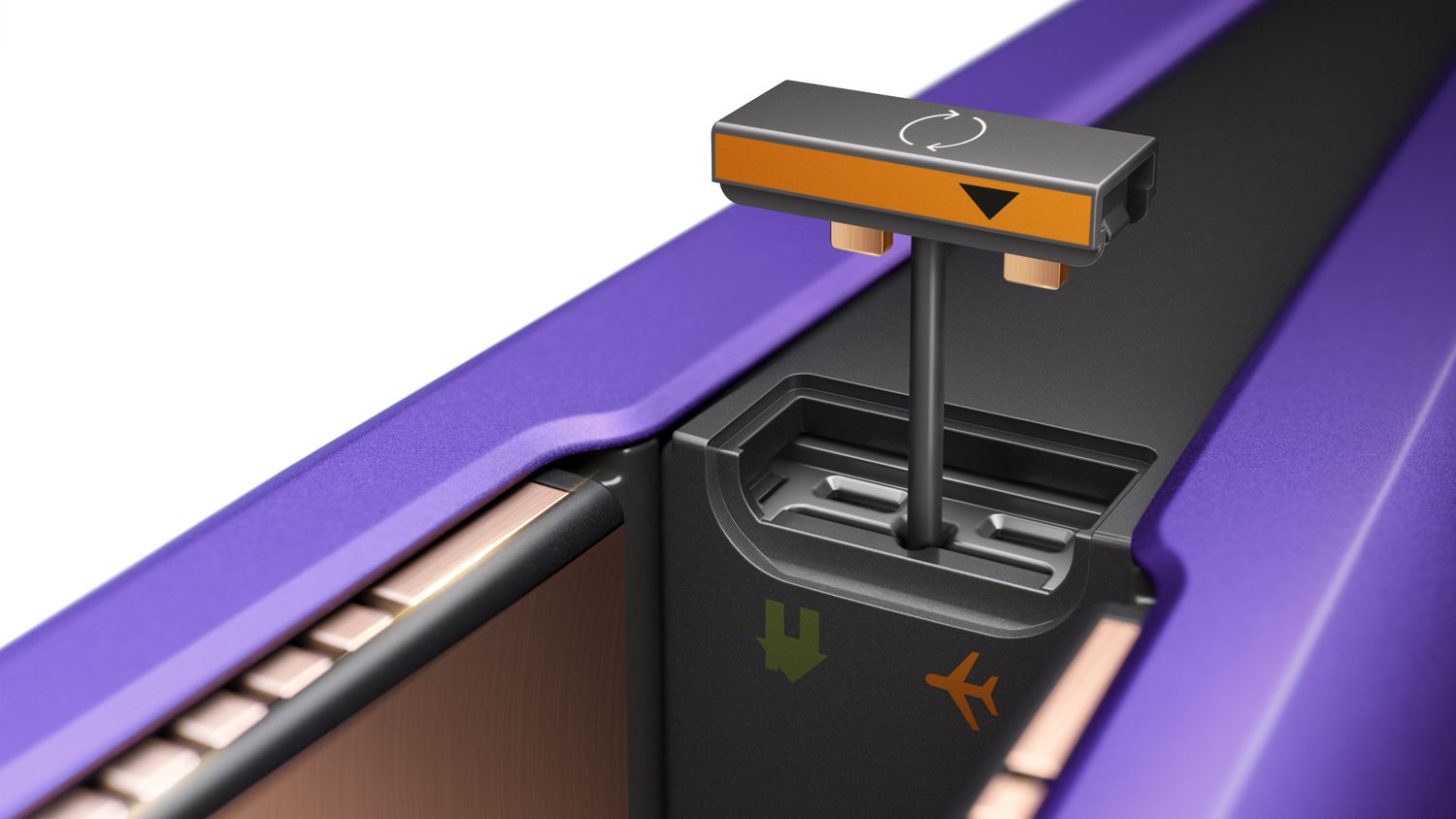 Dyson Coralle straightener safe flight pin.