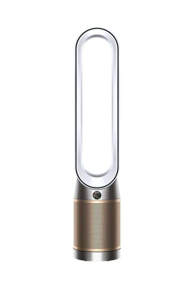 Dyson TP09 Pro Hepa Cool Formaldehyde WeiB Gold Dyson