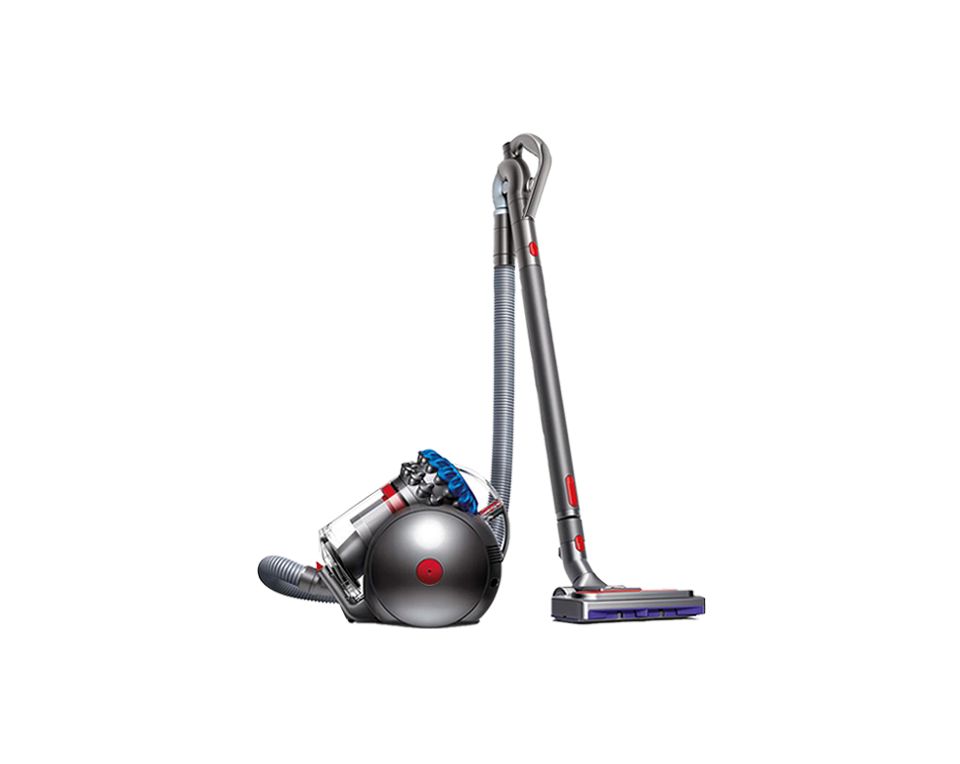 Dyson Big Ball™ Absolute 2 auf einem weißen Hintergrund