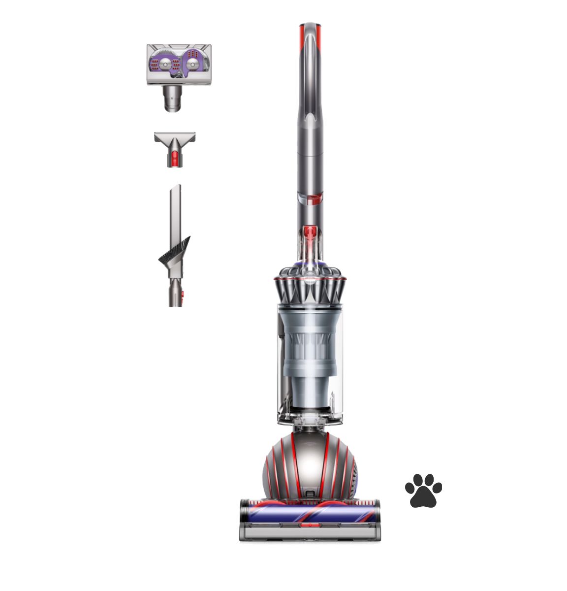 Dyson Ball Animal