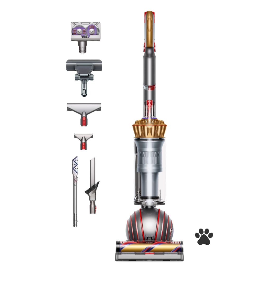 Dyson Ball Animal Complete