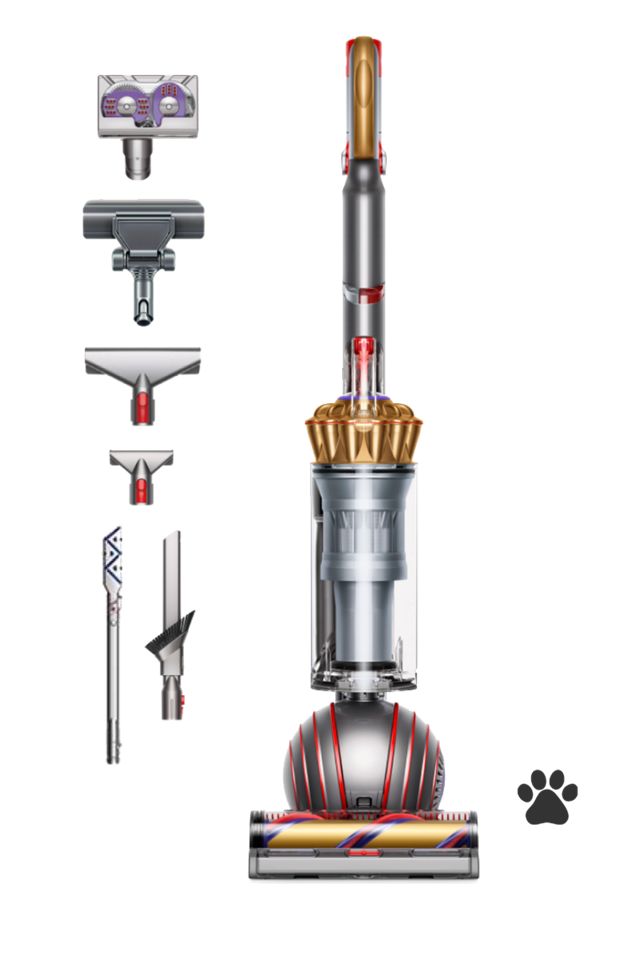 Dyson Ball™ Animal Complete (Gold)