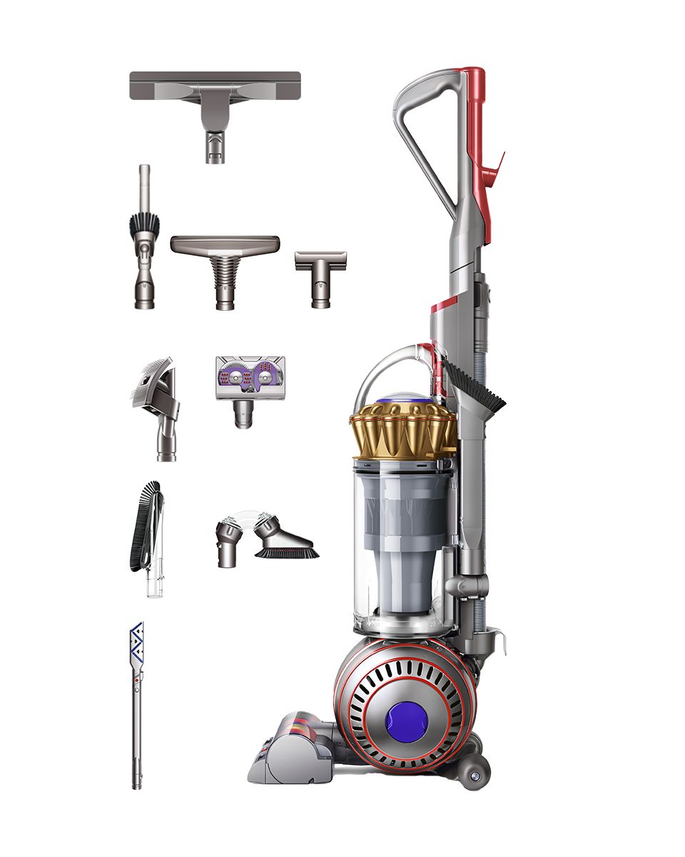 Dyson Ball Animal 3 Complete vacuum
