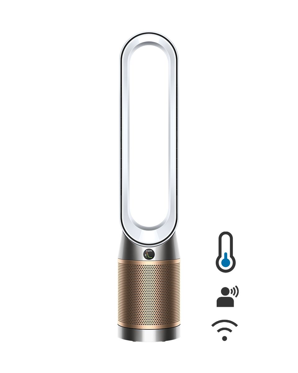 Purificatore ventilatore Dyson Purifier Cool Formaldehyde