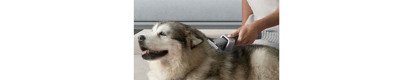 Aspirateur sans fil pour animaux de compagnie, brosse pour chien, Dyson V8  V7 V10 V11, pièces d'appareil ménager, accessoires, produits pour animaux  de compagnie - AliExpress