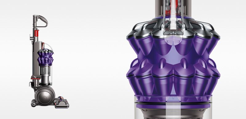 UP15 Animal UK Ir/SNk/Pu