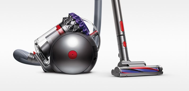 CY23 Animal UK Ir/SPu/Ir