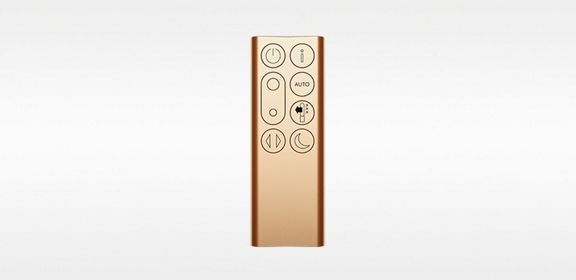 Remote Control (Gold)